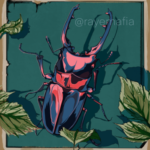 Beetle