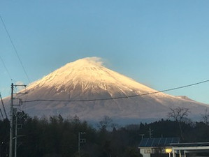 大寒を迎えましたが