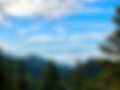 lake tahoe favorite background.png