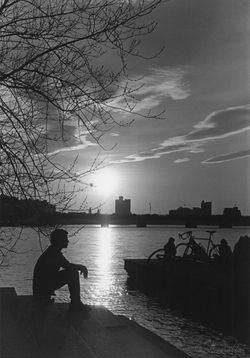 25386921230_191d9d8278_o