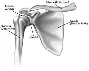 Sports Medicine and Shoulder Treatment