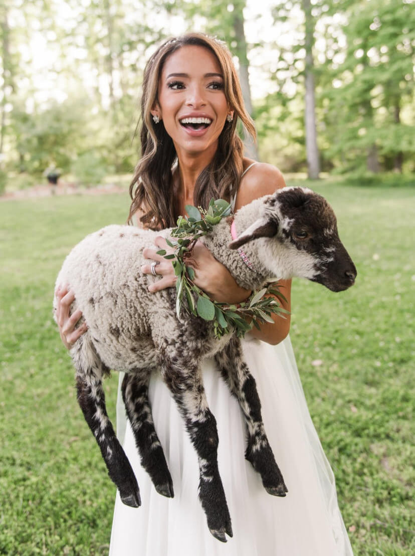 bride holding goat