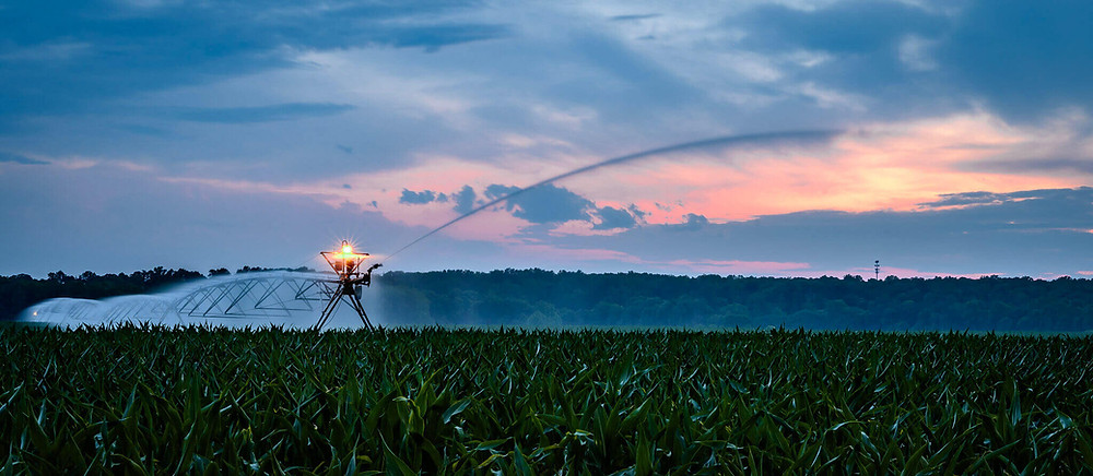 water sprayer over field