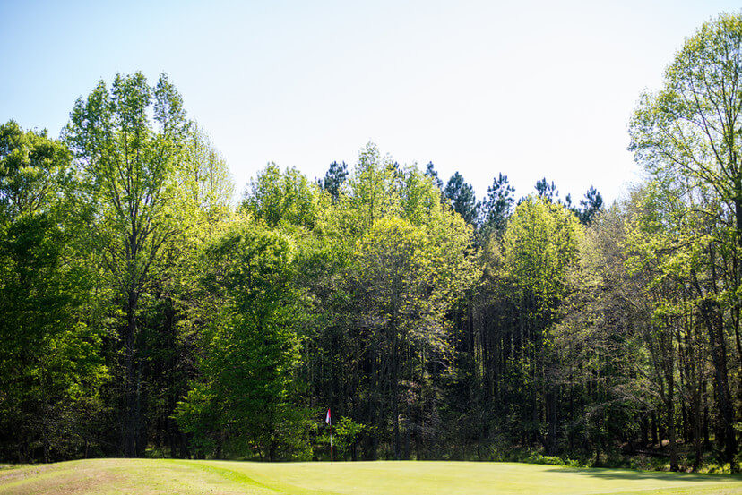 golf course and trees