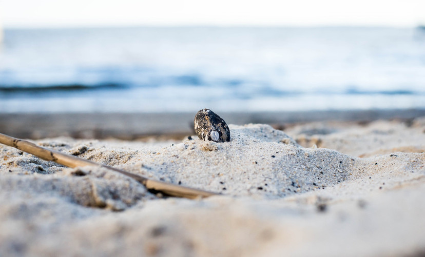 close-up of sandy beach