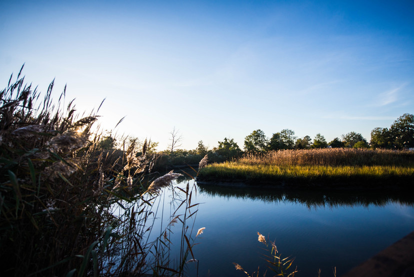 creek and blue sky