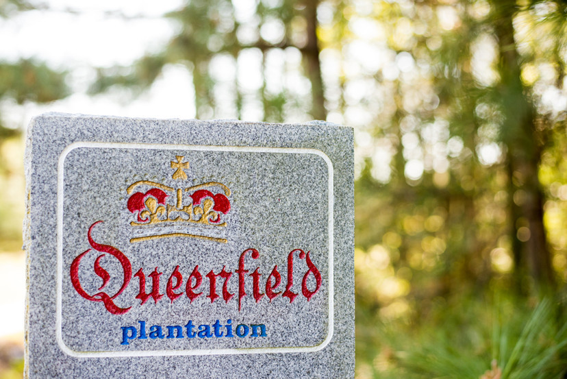 stone sign that says Queenfield plantation