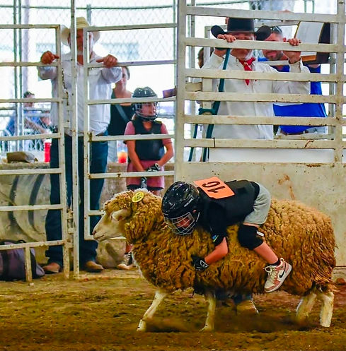 Mutton Bustin 2025.jpg