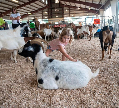 girl petting goat.jpg