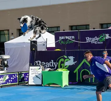 Ready Go Dog Show.webp