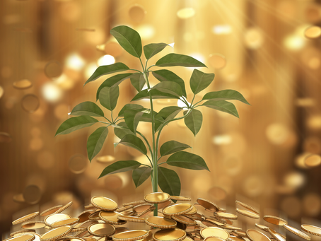 plant growing from golden coins