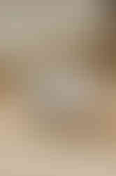 Modern Bohemian Cactus Wedding Place Card Template from Unmeasured Events