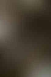 boho inspired wedding reception details that show flowers, table settings, menus, wine glasses and pampas grass. All via Unmeasured Events