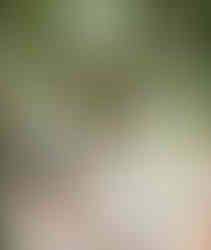 close up of bride and groom holding hands during their wedding ceremony as guests look on. all via unmeasured events