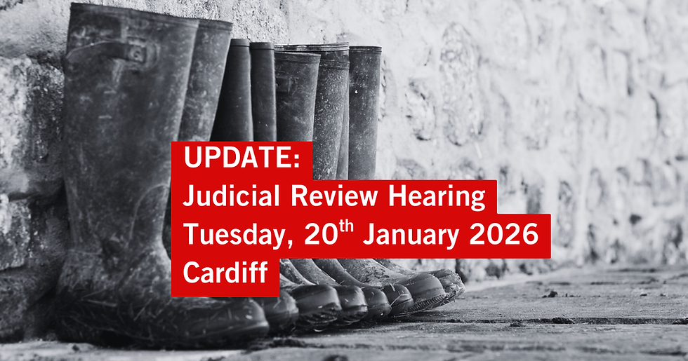 We have a hearing date for the 20 January (next Tuesday!)