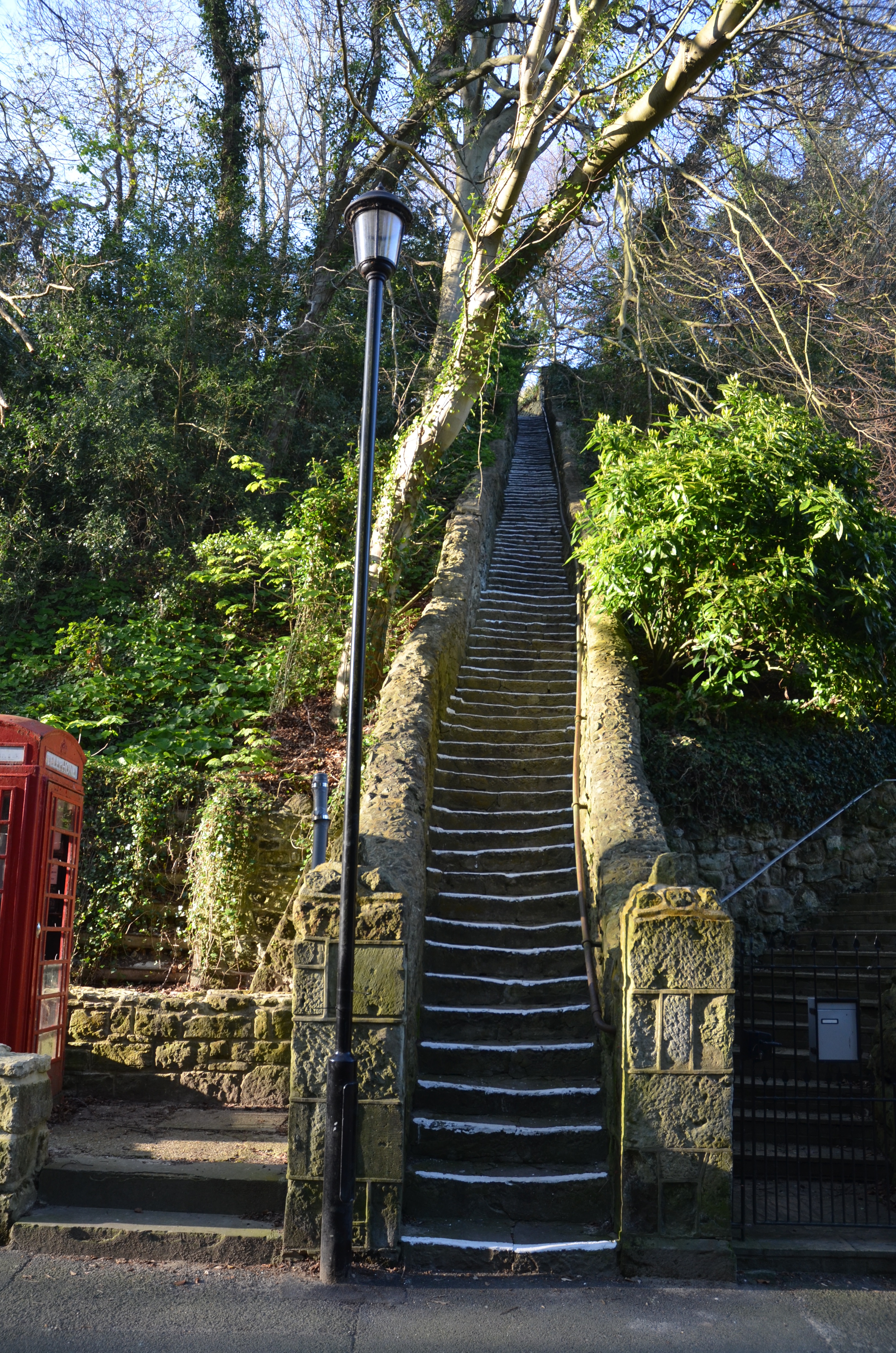 101 steps