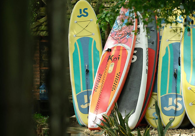 paddleboards.jpg