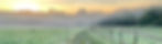 Walks-Mylor.jpg