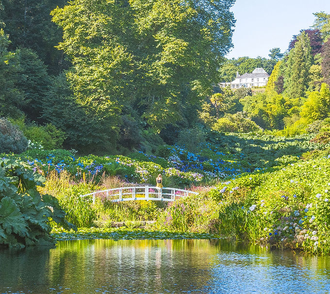 trebah-garden.jpg