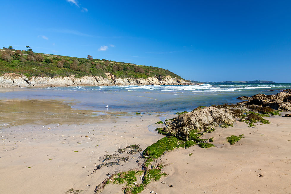 Exploring the stunning beaches of Falmouth and Flushing in Cornwall