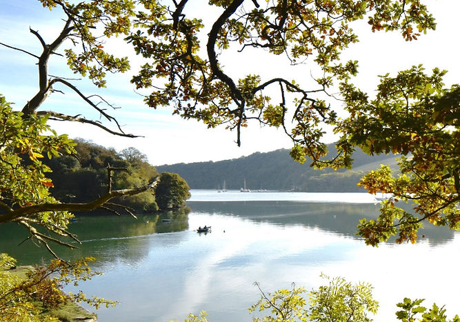 Trelissick-Garden.jpg