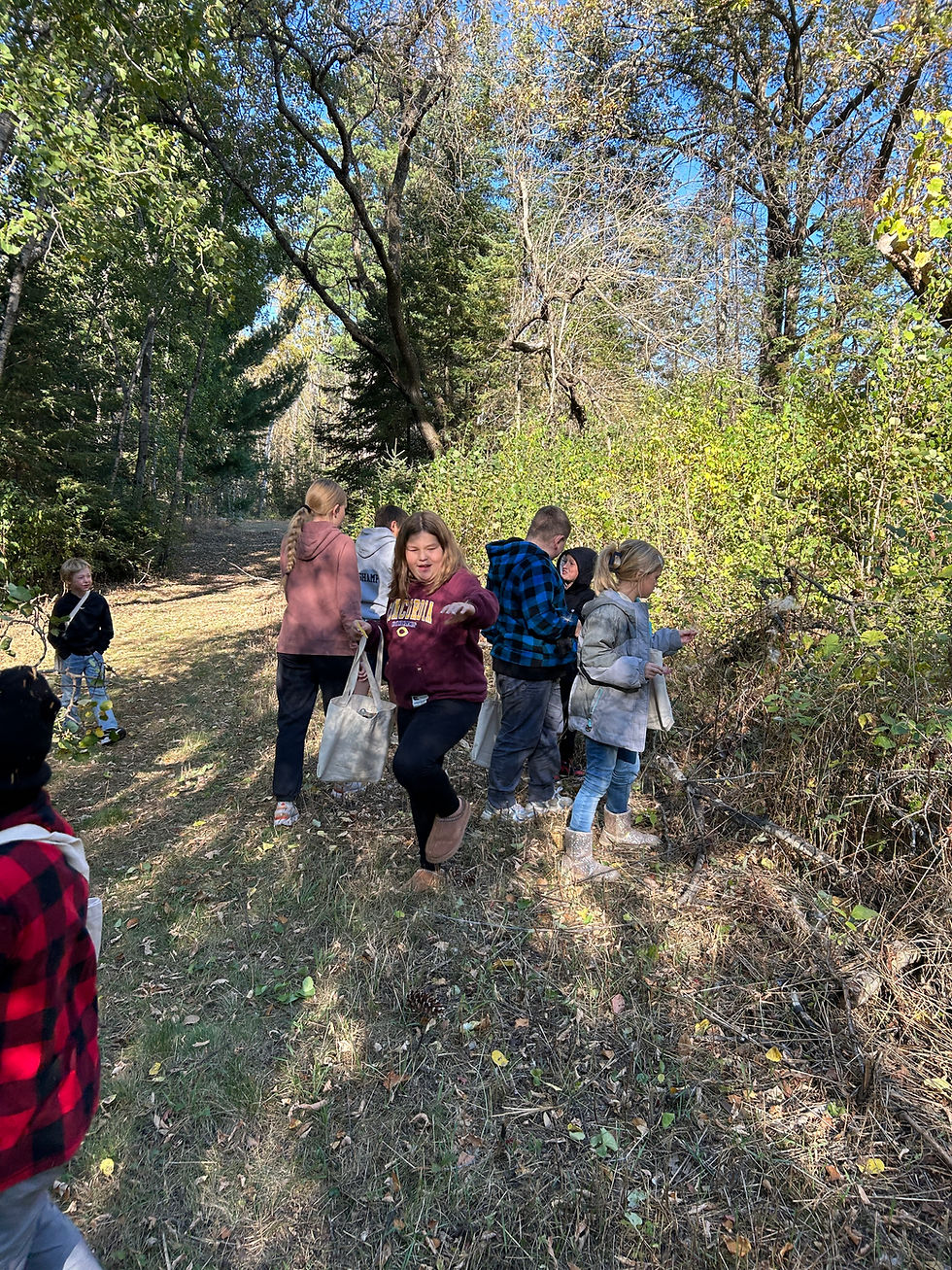 Nature Club - Northern Lakes