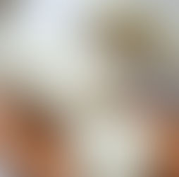 完売　BUCHETTE MIEL(ブシェット ミエル)|フランス｜シェーブル