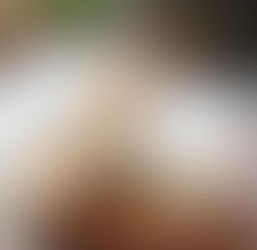 完売：クロミエ - ブリ3 兄弟の末っ子 