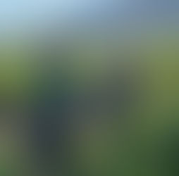 11/16(木) 解禁！ボージョレ ヴィラージュ ヌーヴォー