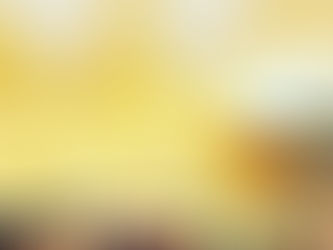 限定「白牛」が入荷しました!