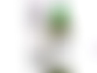 完売 Laphroaig 10 years old