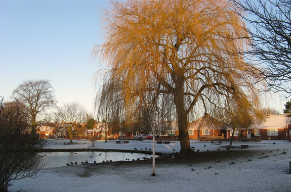 Wigginton pond