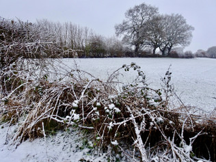 Snowy farm fields…