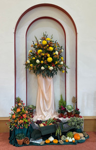 Main Harvest display