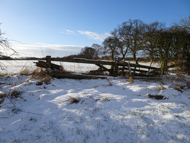 Blue skies and sunshine on snow covered fields