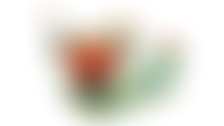 Winning Scarecrows 2022