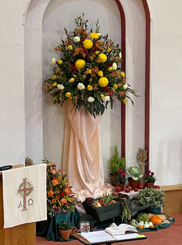 Main Harvest display