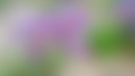 Inspiring Photos: God’s Wonderful World