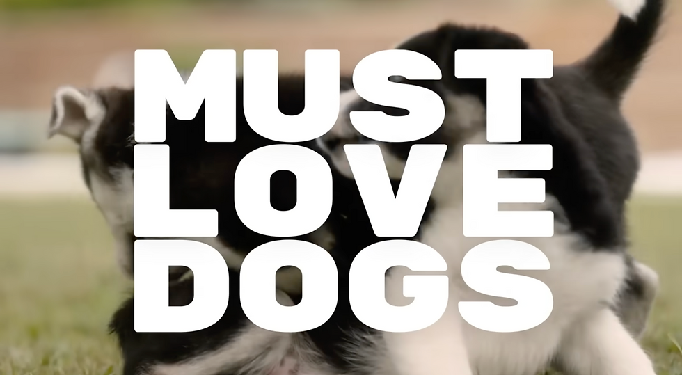Must Love Dogs Official Trailer.mp4