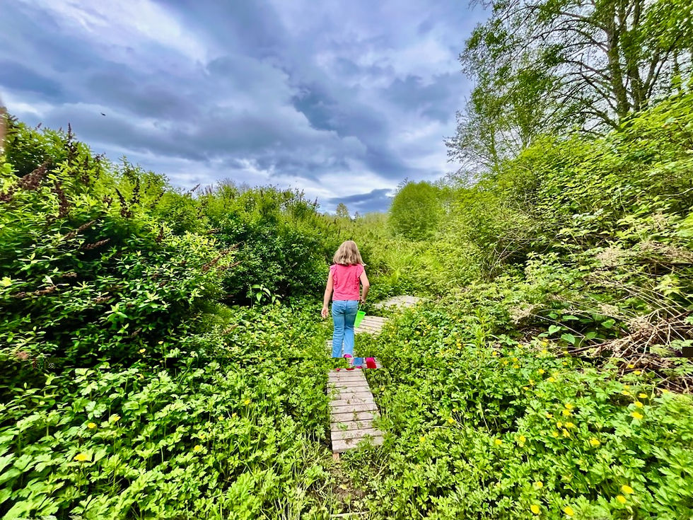 Marsh Walk (1).jpg