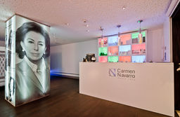 Reforma Carmen Navarro Madrid