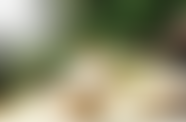 Imagem de pausa sensível e acolhedora com bolo doce, café e flores; simboliza momentos de frustração, autoconhecimento e adaptação emocional.