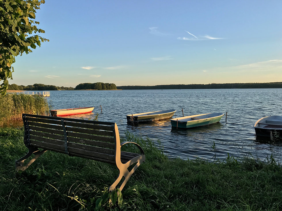IMG_1814.jpeg