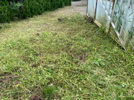 ご近所さんの依頼 雑草粉砕・