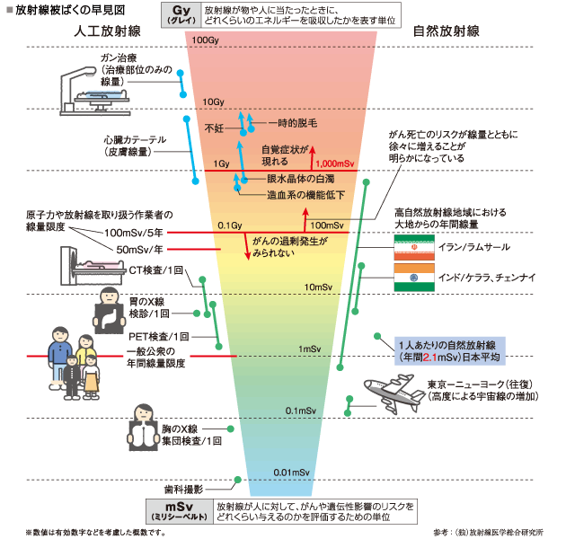 放射線汚染による健康被害