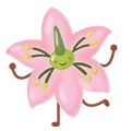 SUMMIS POTS-43.png