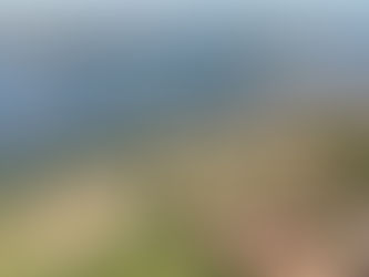 Inauguração com gosto de campanha: a ponte Xambioá–São Geraldo vira passarela de vaidades e trampolim eleitoral