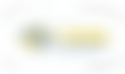 A Genialidade da Cópia no Tocantins: O Novo “Velho” Programa de Laurez