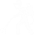 pest.png