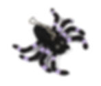 Halloween Spider